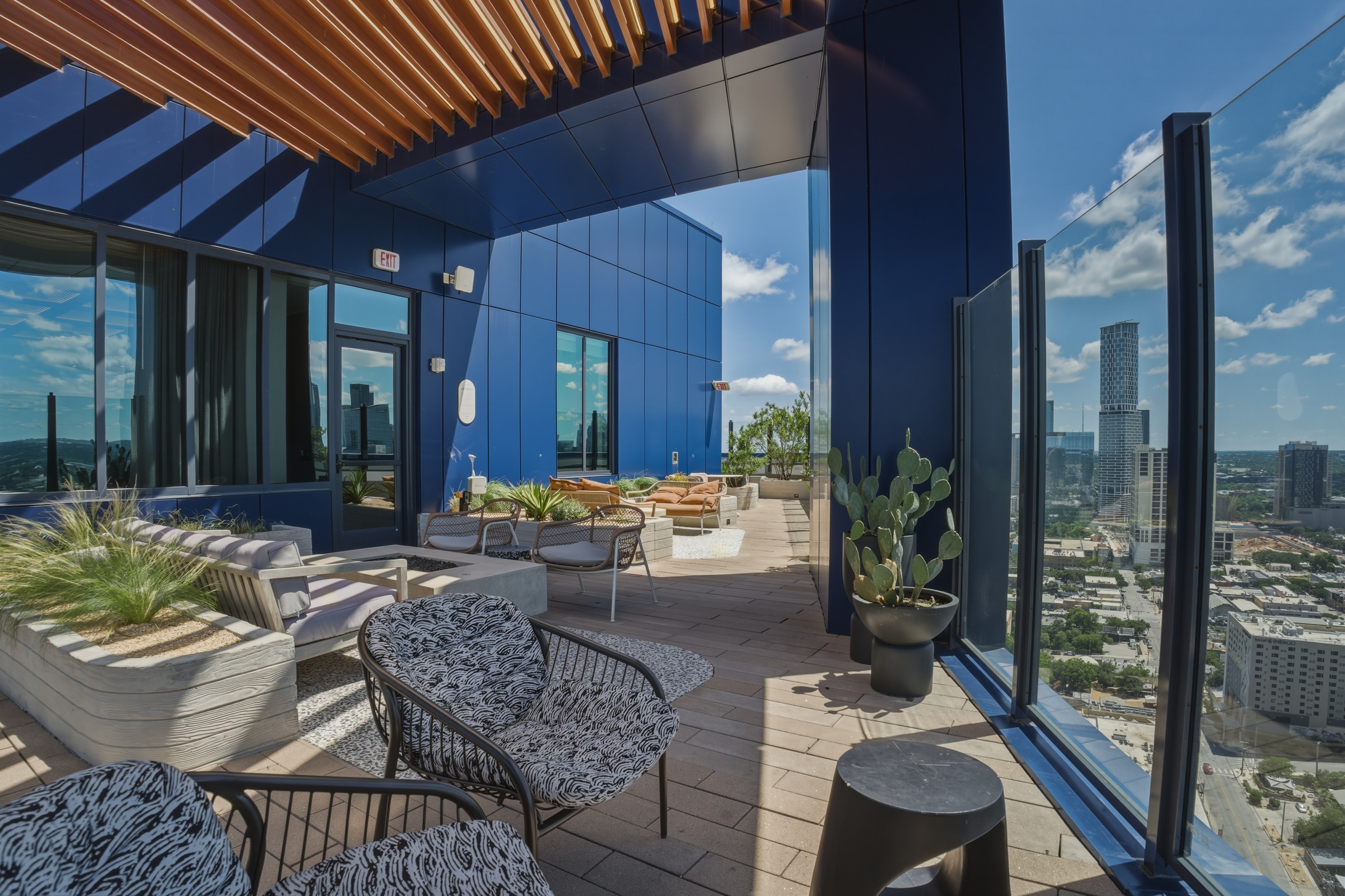 Rooftop terrace cactus